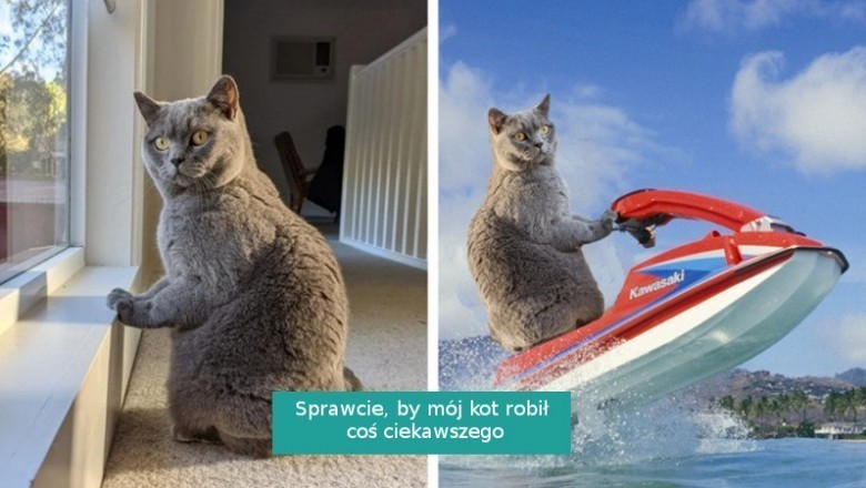 14 fotografii, które trafiły w ręce mistrzów Photoshopa