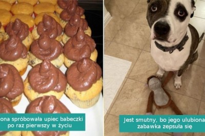 16 fotografii, które wzbudzają współczucie i potrzebę pocieszenie tych pechowców