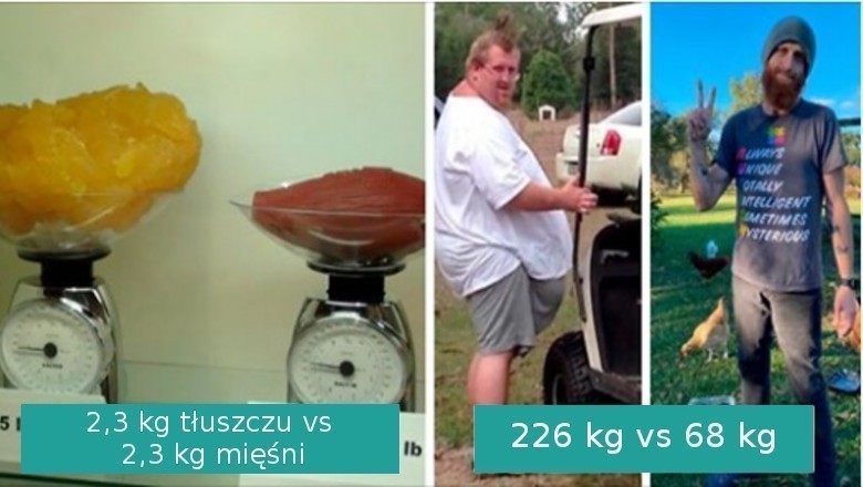 18 interesujących porównań dających lepsze spojrzenie na pewne rzeczy