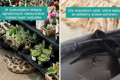 15 fotografii pokazujących uroki życia w Australii