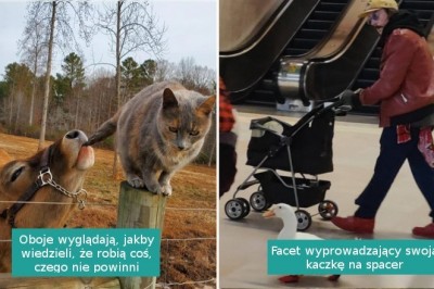 15 zdjęć, które pokazują, że nasz świat jest zupełnie nieprzewidywalny