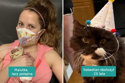 15 fotografii, które wyrażają więcej niż tysiąc słów