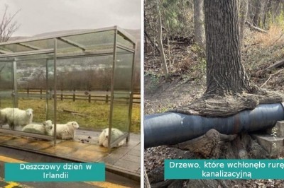 15 fotografii wyglądających jakby wykonano je w innym wymiarze