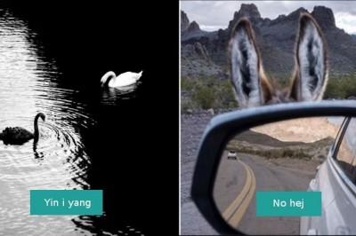 18 niecodziennych i zdumiewających momentów uchwyconych na fotografiach