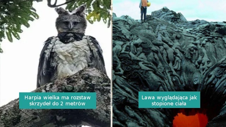 18 interesujących i niepokojących fotografii, którymi podzielili się internauci