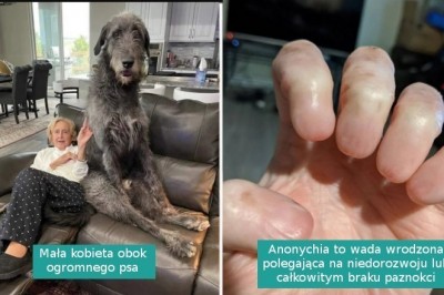 16 niezwykłych rzeczy, których nie mamy okazji oglądać na co dzień