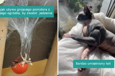 18 sytuacji, w których natura zaskoczyła nas swoją unikalnością