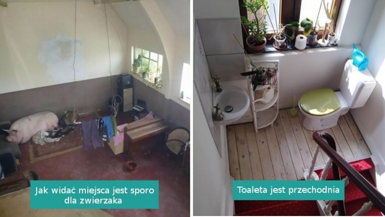 Najdziwniejsze fotografie mieszkań wystawionych przez biura nieruchomości