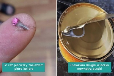 16 osób, które natknęły się na coś naprawdę wyjątkowego w najmniej oczekiwanych sytuacjach