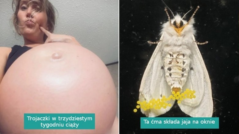 18 fotografii pokazujących piękno tajemnic natury