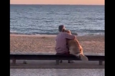 Ziomek i jego najlepszy przyjaciel delektują się chwilą