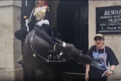 Turystka kontra koń. Miłych wspomnień nie będzie