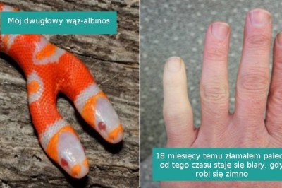 15 pozornie zwyczajnych rzeczy, które okazały się całkiem zaskakujące