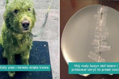 14 fotografii, które wniosą dodatkowy promyk słońca do twojego dnia