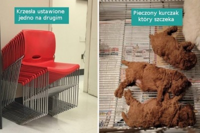 18 fotografii, które sprawią, że przetrzesz oczy ze zdumienia