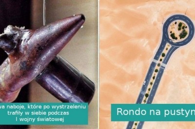 Zaskakujące fotografie udowadniające, że świat jest pełen niespodzianek