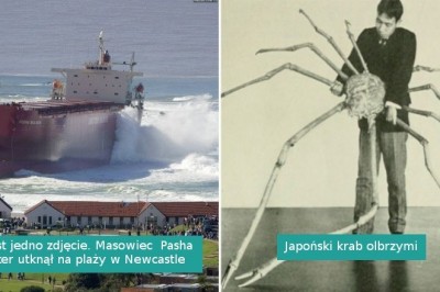 18 fotografii, które pokazują jak wielkie mogą być pozornie zwykłe rzeczy