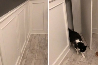 18 niezwykłych kryjówek i tajnych przejść w pozornie zwyczajnych domach