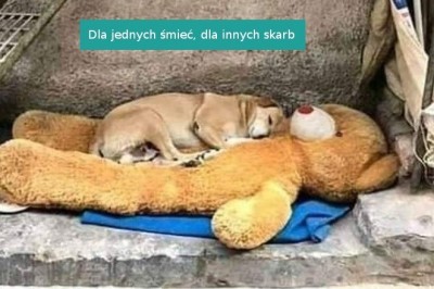 15 fotografii, które sprawią, że jeszcze bardziej docenimy życie. Zwykła codzienność