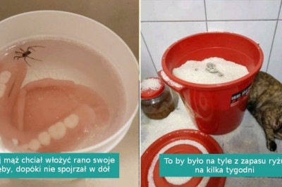 15 fotografii osób, które rozpaczliwie potrzebują przytulenia po ciężkim dniu