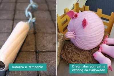 18 fotografii pokazujących, że ludzka kreatywność jest niemal nieograniczona