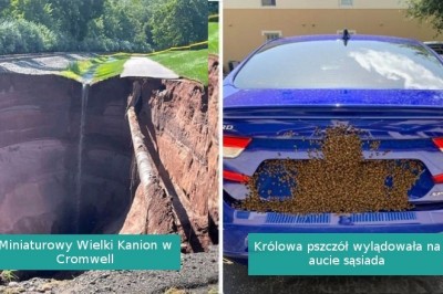 16 osób, które musiały spojrzeć na coś dwa razy, by uwierzyć własnym oczom