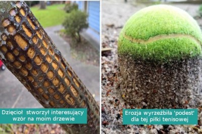 15 sytuacji, w których natura postanowiła udekorować świat na swój wyjątkowy sposób