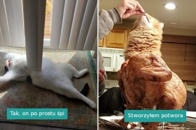 19 zabawnych fotografii na poprawę humoru, które wywołają uśmiech u każdego