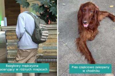 16 mylących fotografii, które zmusiły nas do wytężenia wzroku i mózgu