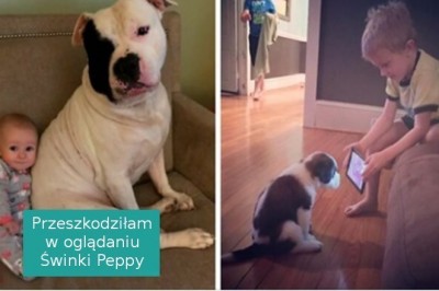 Jeśli sądzisz, że twoje dziecko nie potrzebuje psa, to te fotografie mogą cię przekonać