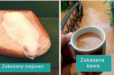 21 „zakazanych potraw”, które wyglądają smacznie, ale są niejadalne