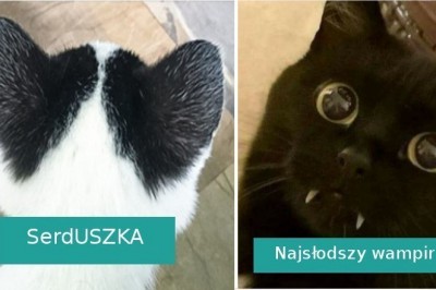 18 zwierząt będących dowodem, że kreatywność matki natury nie zna granic