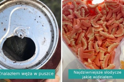 15 nietypowych odkryć, które sprawiły, że otworzyliśmy usta ze zdumienia
