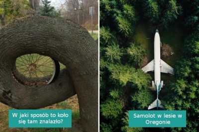 15 intrygujących porzuconych rzeczy i miejsc zauważonych w plenerze