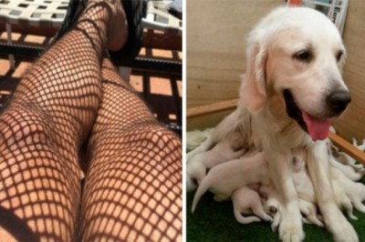 16 osób, które zobaczyły coś, co natychmiast przykuło ich uwagę