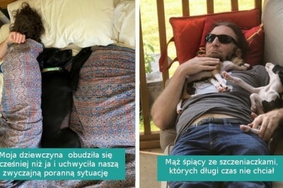 Ci właściciele zasypiają w towarzystwie swoich zwierząt i wyglądają przy tym przesłodko