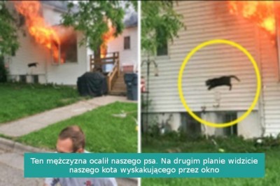 14 fotografii, które wzbudziły naszą ciekawość, pokazując niezwykłe historie