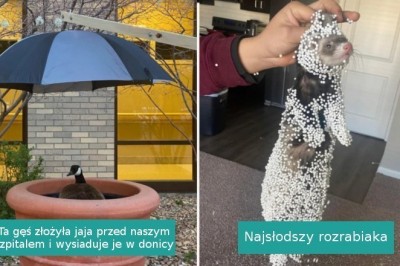 16 fotografii, przy których uśmiech sam ciśnie się nam na usta