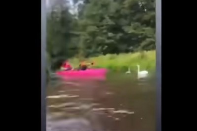 Uderzył łabędzia wiosłem w czasie spływu. Poseł Litewka publikuje nagranie ze skandalicznym zachowaniem