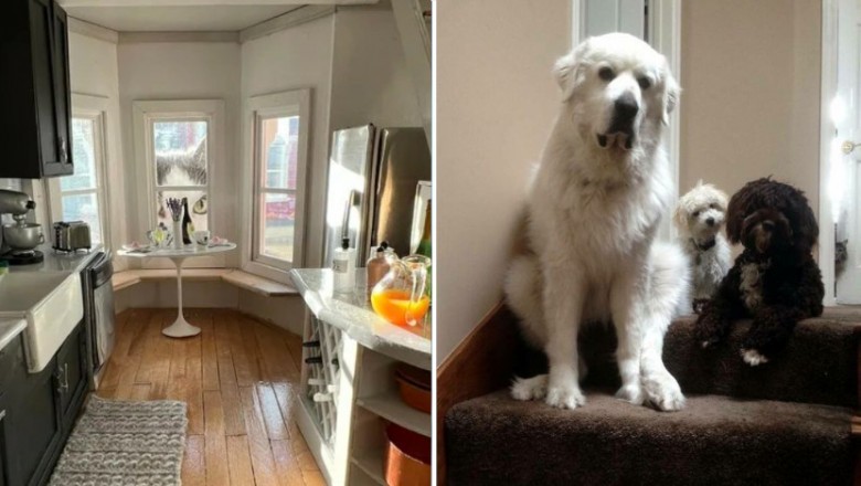 Gdy raz to ujrzysz, już nie odzobaczysz. Najdziwniejsze zdjęcia katów w internecie