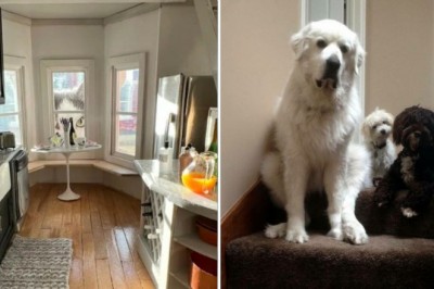 Gdy raz to ujrzysz, już nie odzobaczysz. Najdziwniejsze zdjęcia katów w internecie