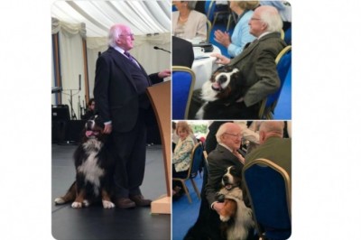 Prezydent Irlandii zawsze z psem. Gdy tylko może, zabiera go nawet na oficjalne wydarzenia