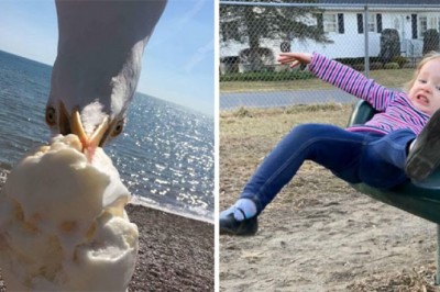 „Uchwycone na krawędzi”  Galeria zdjęć uchwyconych w idealnym momencie