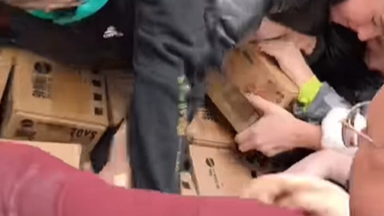 Walka o karpia to przy tym pikuś. Tak dorośli szarpali się z dzieciakami o resoraki