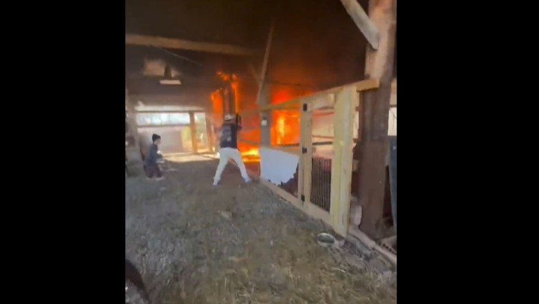 Ratowali zwierzęta z palącej się stodoły. Nagranie z bohaterskiej akcji na farmie piosenkarza