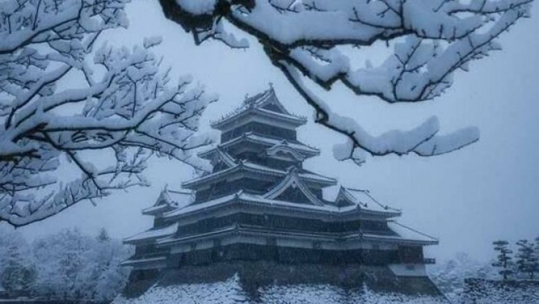 Fotografie zwykłych miejsc, które śnieg zamienił w baśniowe krainy