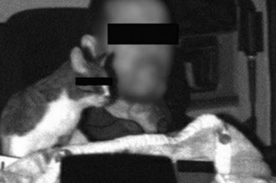 Złapany przez fotoradar na prowadzeniu TIRa z kotem. Dostał za to mandat