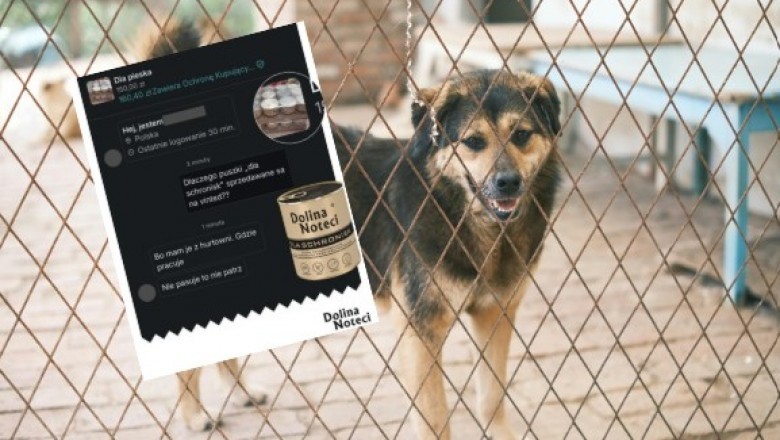 Skandal z psią karmą dla schronisk. Ktoś zaczął ją wystawiać na Vinted