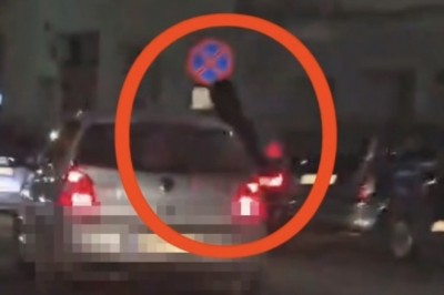 Laska zamiast siedzieć w fotelu pasażera, siedziała na drzwiach pojazdu. Zabawa skończyła się 5 mandatami