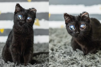 Myśleli, że jej oczy to wytwór AI. Prawda jest niestety o wiele smutniejsza